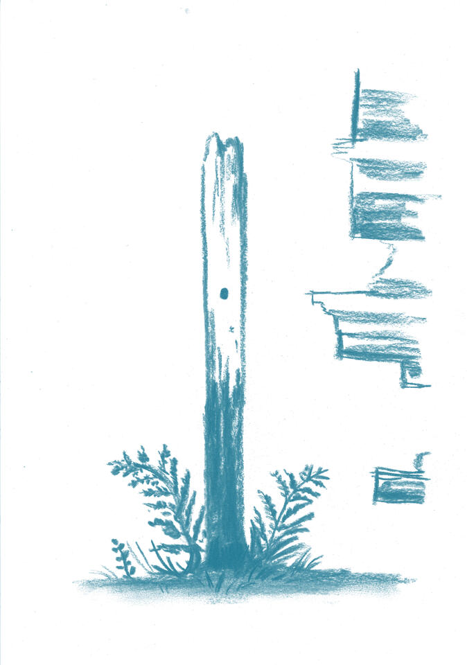 Untitled Untitled