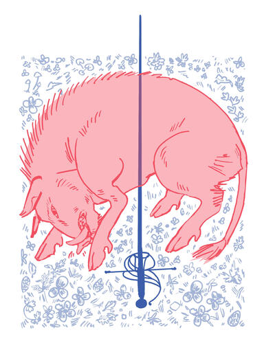 boar