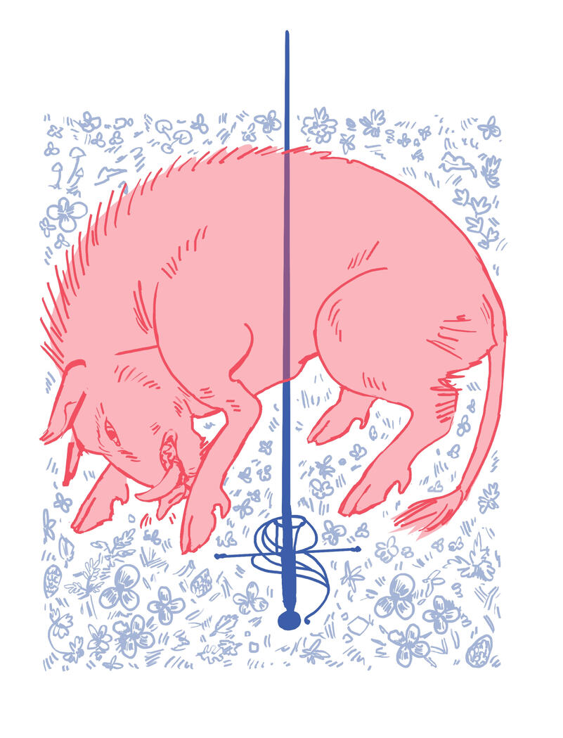 boar boar