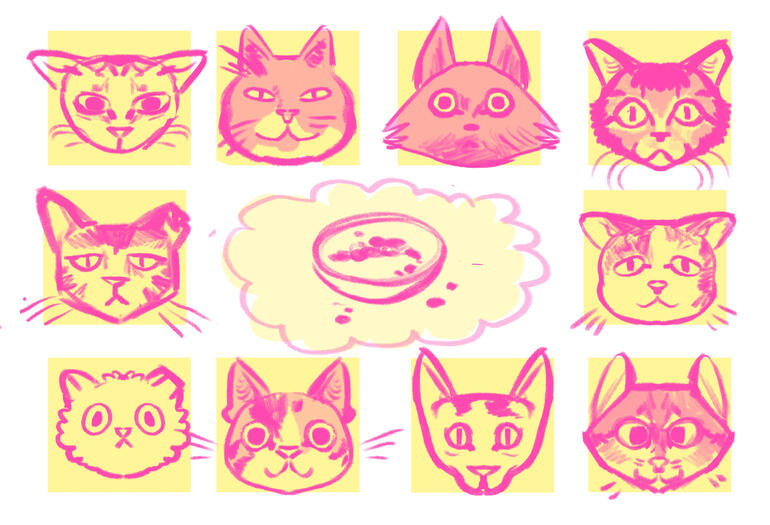 cats
