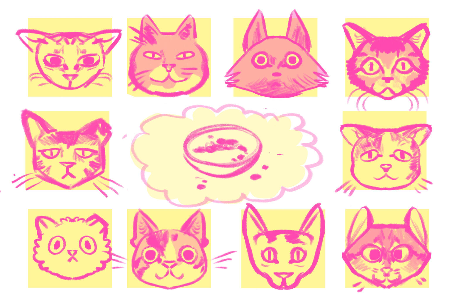 cats cats